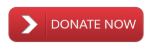 donatebtn